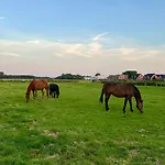 Casa Del Sol - Norddeich (Norden)