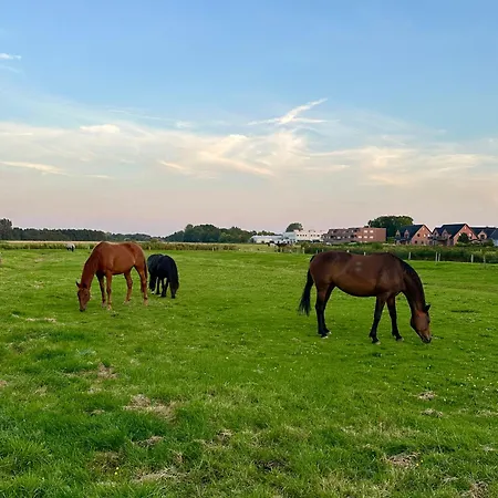 Casa Del Sol - Norddeich (Norden)